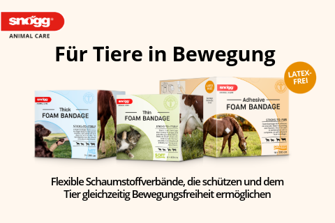 Text_Ad_Orkla